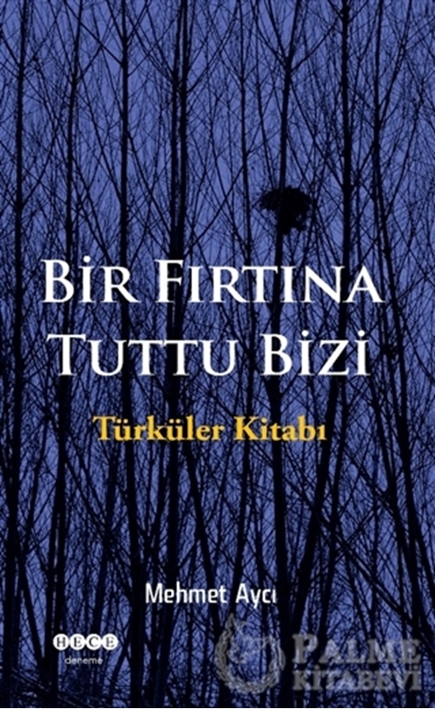 resm Bir Fırtına Tuttu Bizi