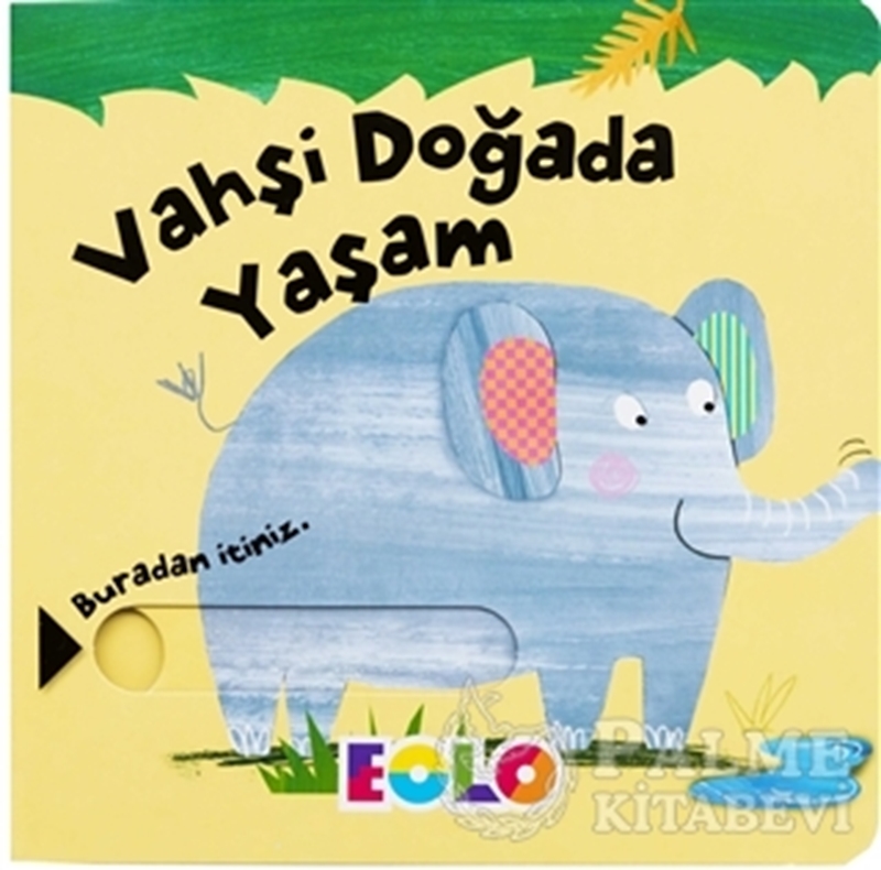 resm Vahşi Doğada Yaşam