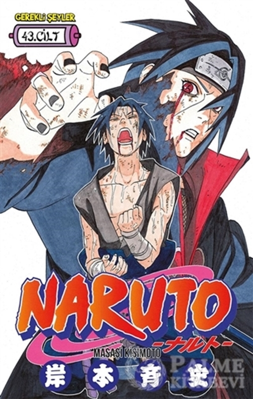 resm Naruto 43. Cilt