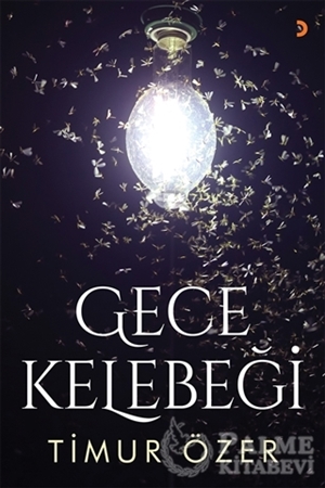 Resim Gece Kelebeği