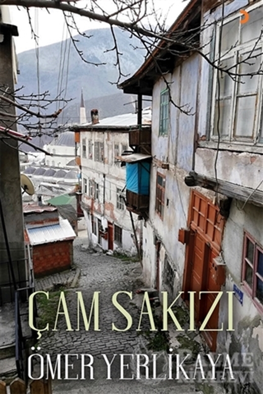 resm Çam Sakızı