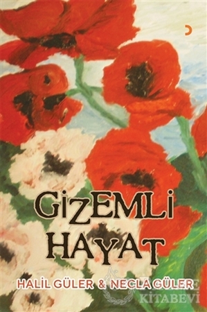 Resim Gizemli Hayat