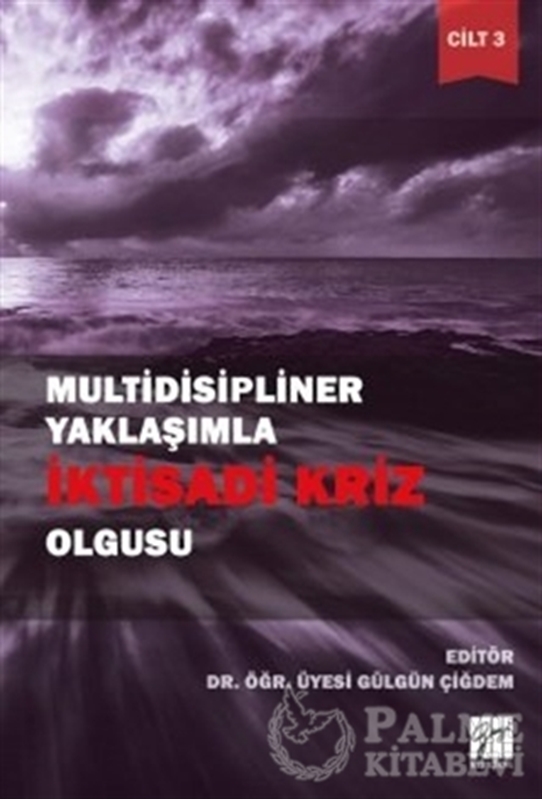 resm Multidisipliner Yaklaşımla İktisadi Kriz Olgusu Cilt 3