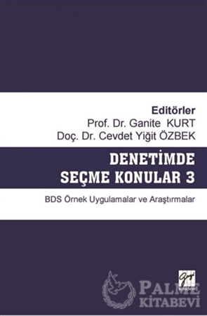 Resim Denetimde Seçme Konular 3