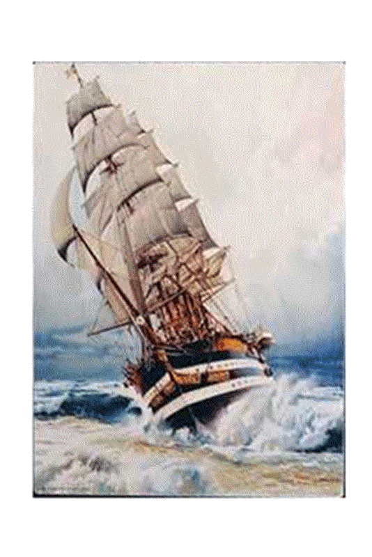 resm Kara İnci / Black Pearl - 1000 Parça - 3102