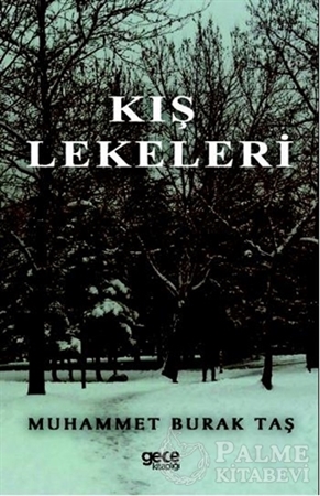 Resim Kış Lekeleri