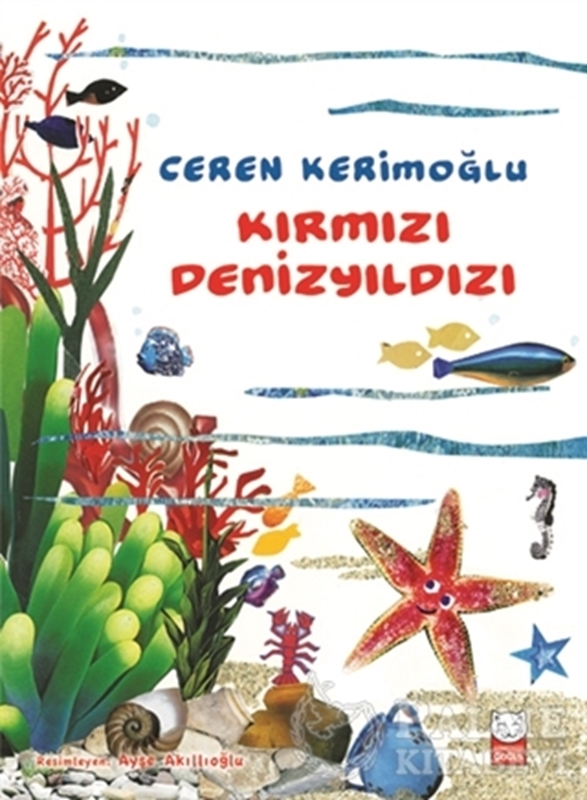 resm Kırmızı Denizyıldızı