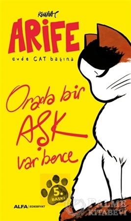 Resim Arife - Evde Cat Başına