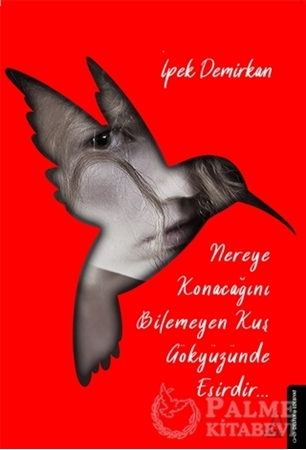 Resim Nereye Konacağını Bilmeyen Kuş Gökyüzünde Esirdir