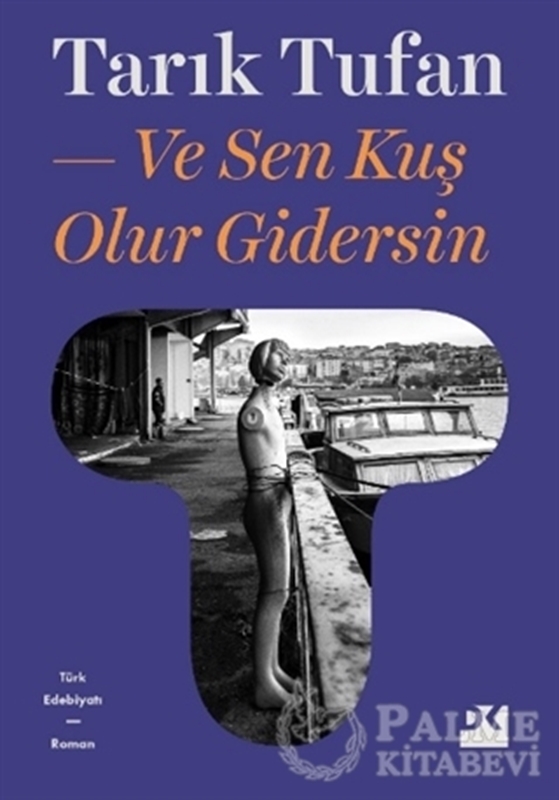 resm Ve Sen Kuş Olur Gidersin