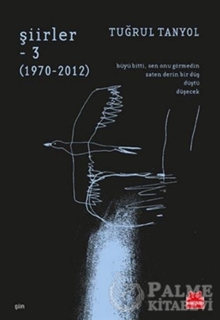Resim Şiirler - 3 (1970-2012)