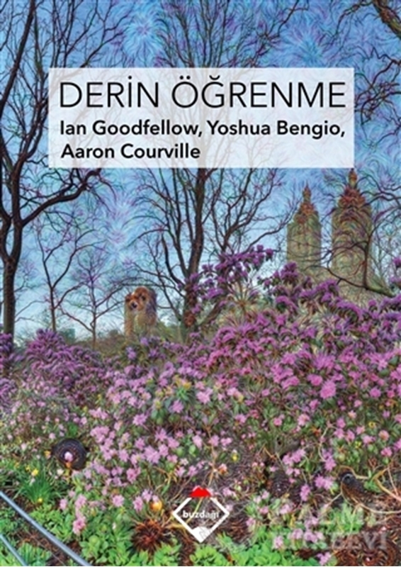 resm Derin Öğrenme