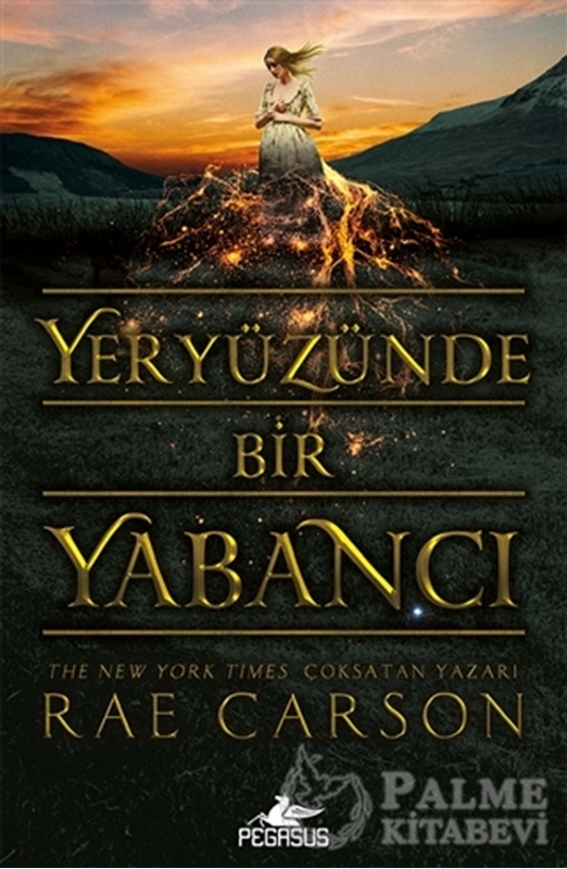 resm Yeryüzünde Bir Yabancı