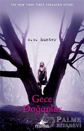 Resim Gece Doğanlar