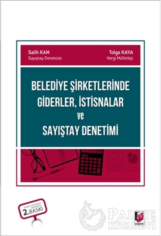 resm Belediye Şirketlerinde Giderler, İstisnalar ve Sayıştay Denetimi
