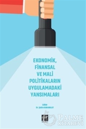 Resim Ekonomik, Finansal ve Mali Politikaların Uygulamadaki Yansımaları