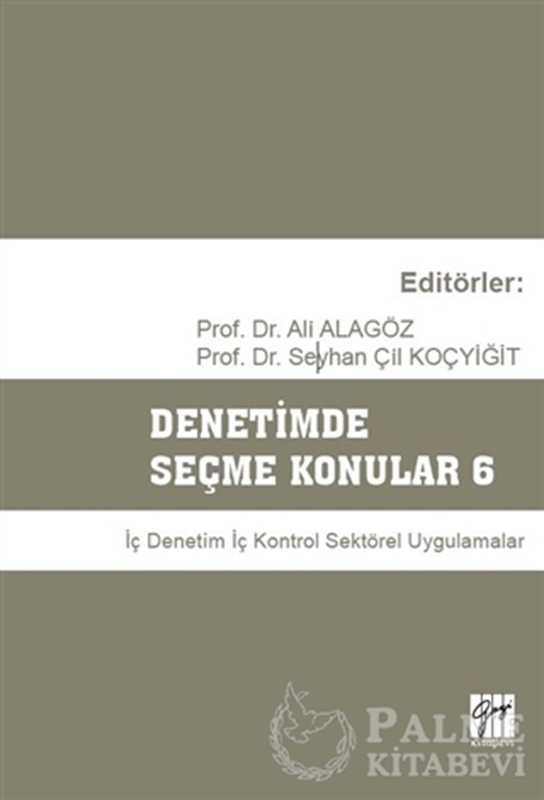 resm Denetimde Seçme Konular 6