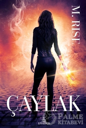 Resim Çaylak - Av Serisi 2