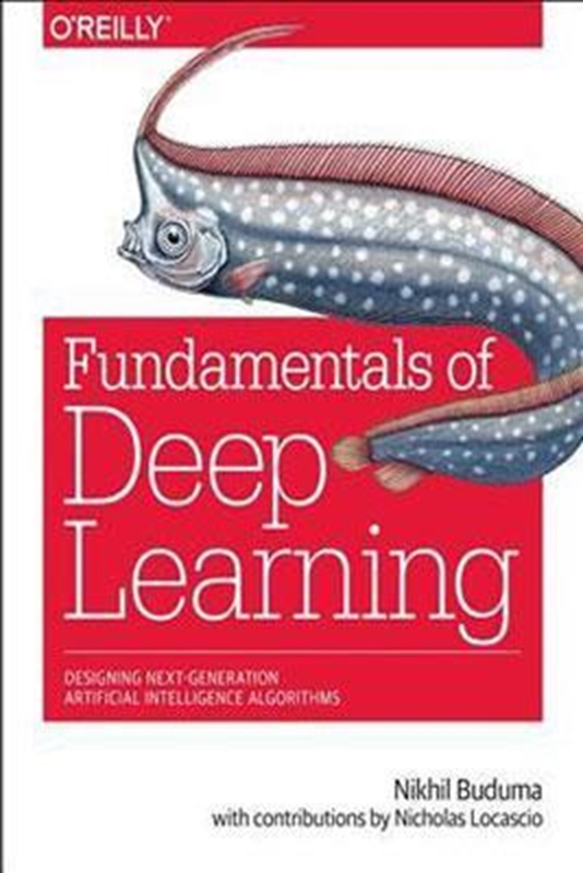 resm Fundamentals of Deep Learning