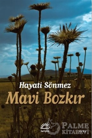Resim Mavi Bozkır