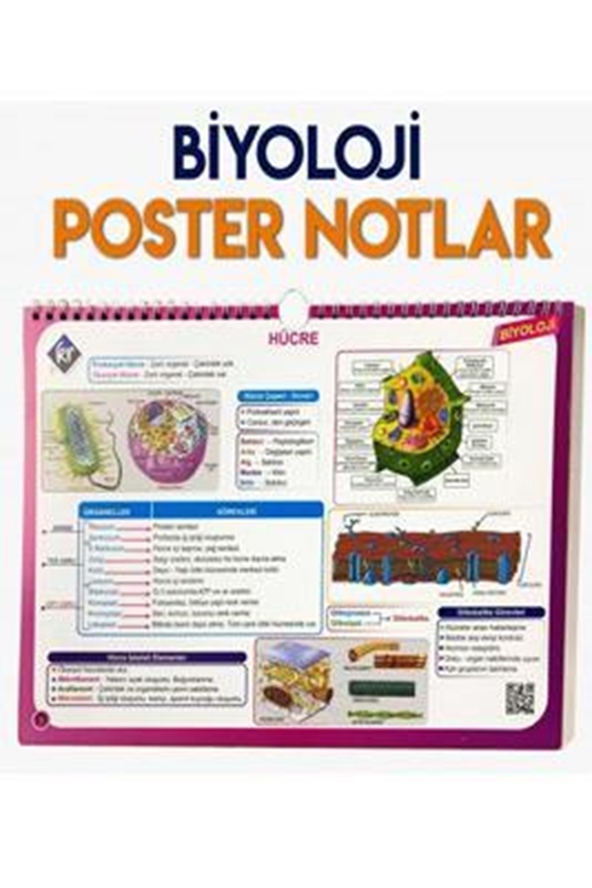 resm TYT Biyoloji Poster Notlar