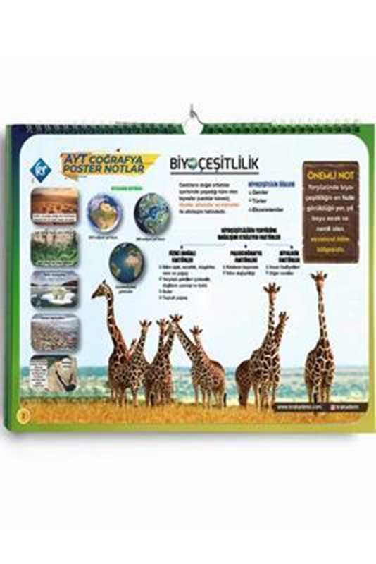 resm AYT Coğrafya Poster Notlar