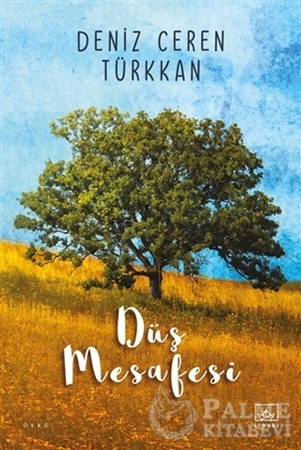 Resim Düş Mesafesi