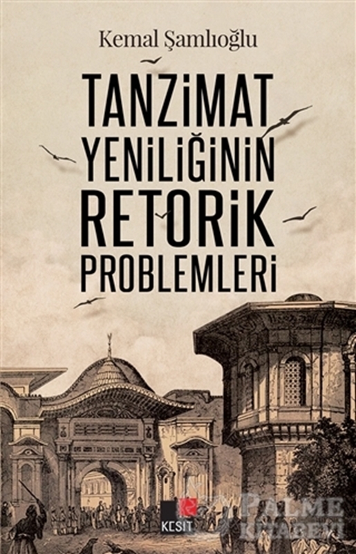 resm Tanzimat Yeniliğinin Retorik Problemleri