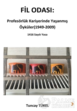 Resim Fil Odası: Profesörlük Kariyerinde Yaşanmış Öyküler (1949-2009)