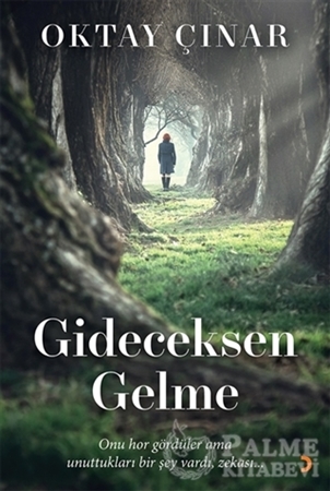 Resim Gideceksen Gelme