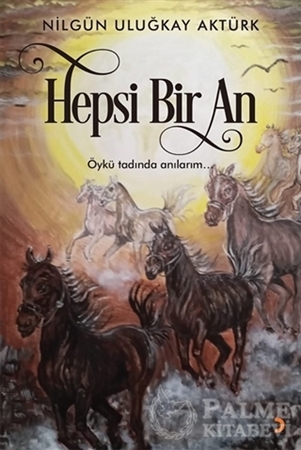 Resim Hepsi Bir An