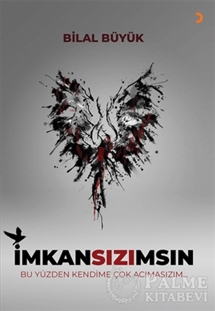Resim İmkansızımsın