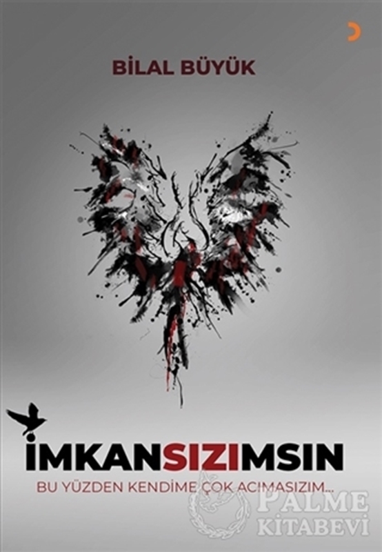resm İmkansızımsın