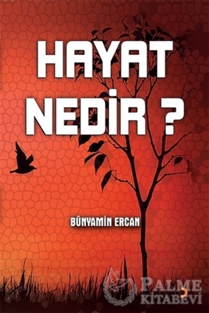 Resim Hayat Nedir?