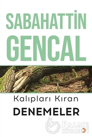 Resim Kalıpları Kıran Denemeler