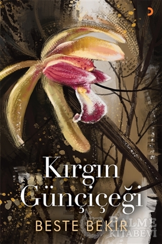 resm Kırgın Günçiçeği