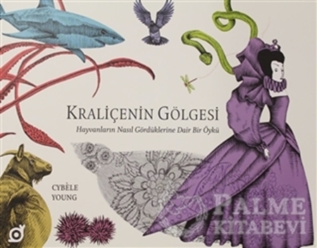 Resim Kraliçenin Gölgesi