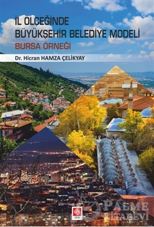 Resim İl Ölçeğinde Büyükşehir Belediye Modeli: Bursa Örneği