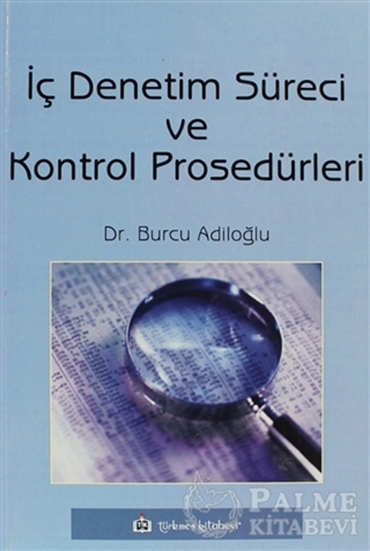 resm İç Denetim Süreci ve Kontrol Prosedürleri