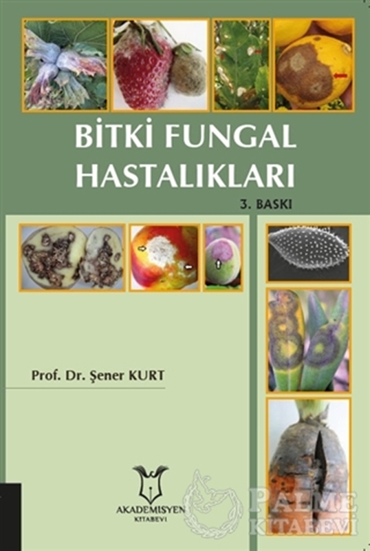resm Bitki Fungal Hastalıkları
