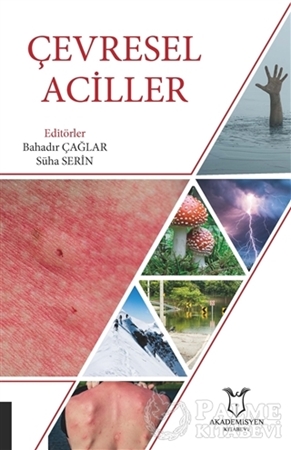 Resim Çevresel Aciller