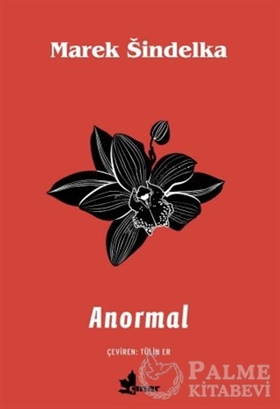 resm Anormal