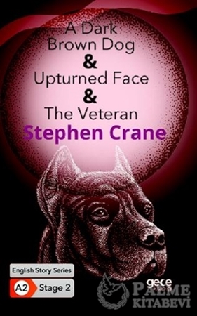 Resim A Dark Brown Dog - Upturned Face - The Veteran - İngilizce Hikayeler A2 Stage 2
