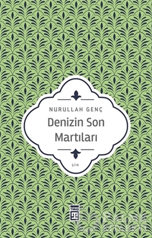 resm Denizin Son Martıları