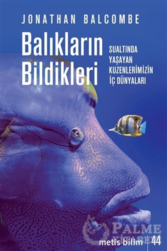 resm Balıkların Bildikleri