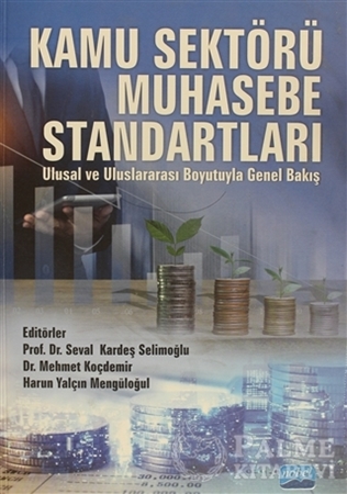 Resim Kamu Sektörü Muhasebe Standartları