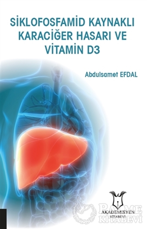 resm Siklofosfamid Kaynaklı Karaciğer Hasarı ve Vitamin D3