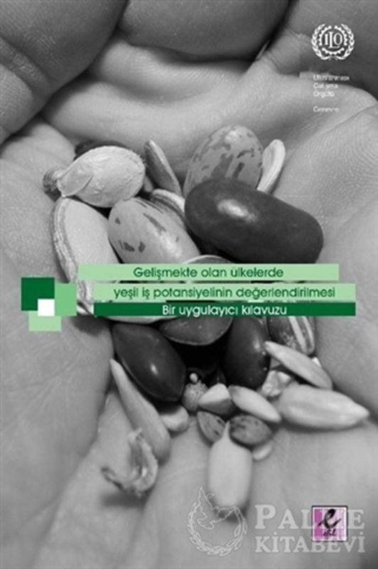 resm Gelişmekte Olan Ülkelerde Yeşil İş Potansiyelinin Değerlendirilmesi - Bir Uygulayıcı Kılavuzu