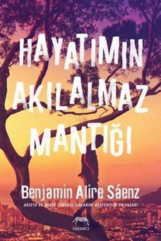 resm Hayatımın Akılalmaz Mantığı (Ciltli)