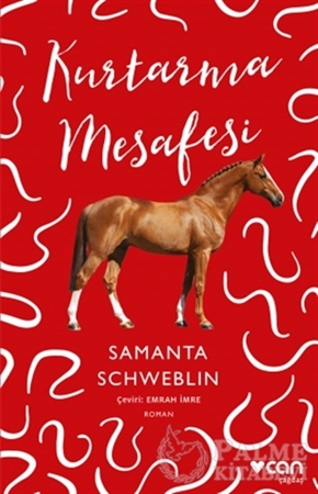 Resim Kurtarma Mesafesi